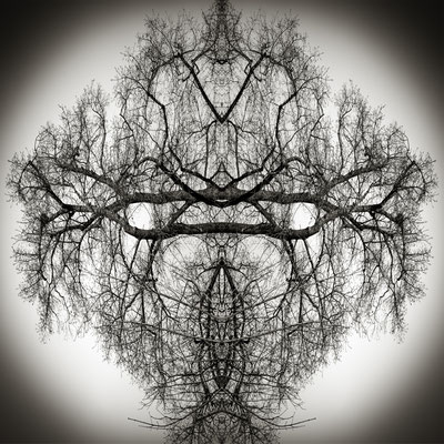 Waldgeist 1