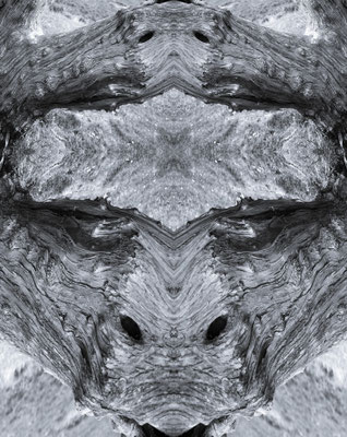 wilder Mann 1