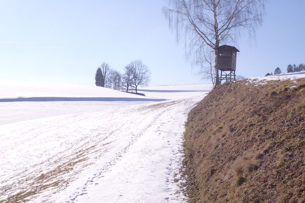 Winter im Mühlviertel
