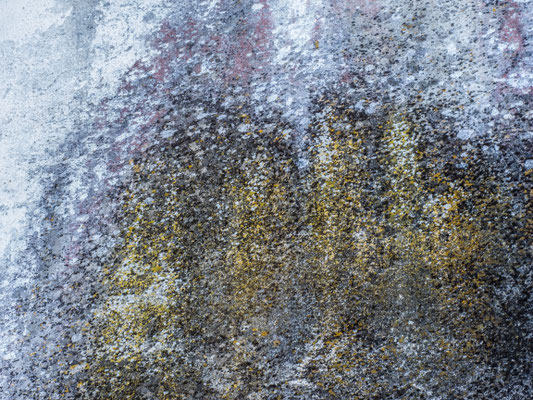 Form und Farbe 1