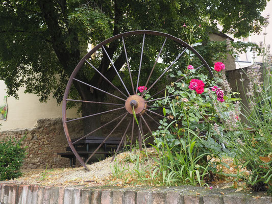 im Weinviertel 2