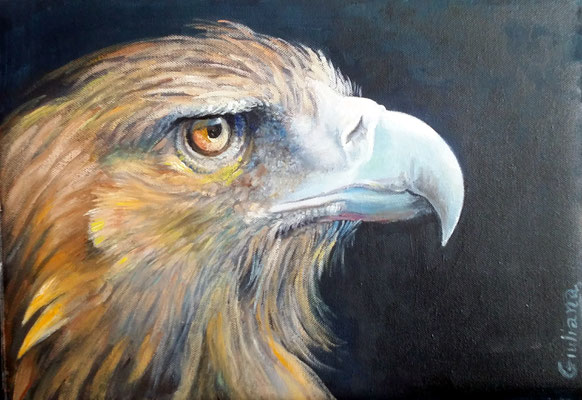 aquila-olio su cartoncino-30x40