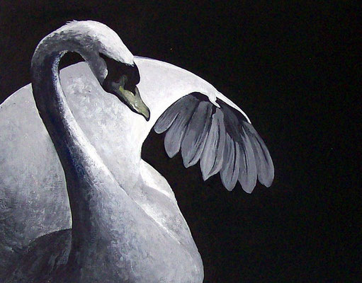 cigno- acrilico su cartoncino- 25x30