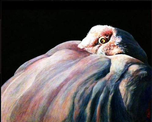 fenicottero che dorme- acrilico su cartoncino telato- 30x40- proprietà privata