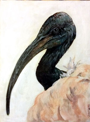 fenicottero-acrilico su cartoncino telato- 30x40