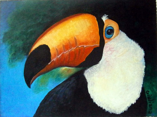 tucano-acrilico su tela-proprietà privata
