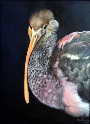 fenicottero-acrilico su cartoncino telato- 30x40