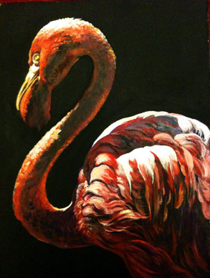 fenicottero-acrilico su cartoncino telato- 30x40