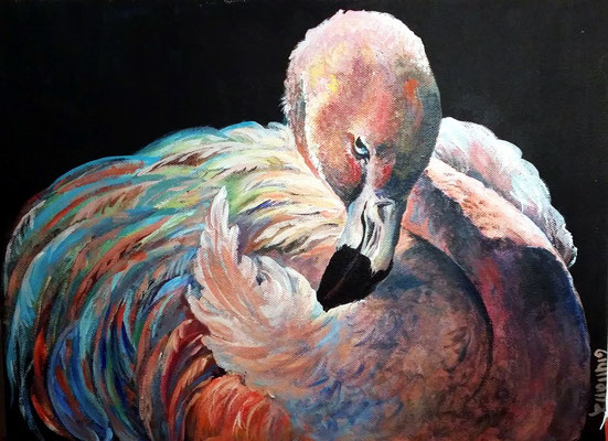 fenicottero-acrilico su cartoncino telato-30x40