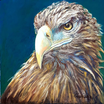 aquila-olio su cartoncino intelaiato-30x30