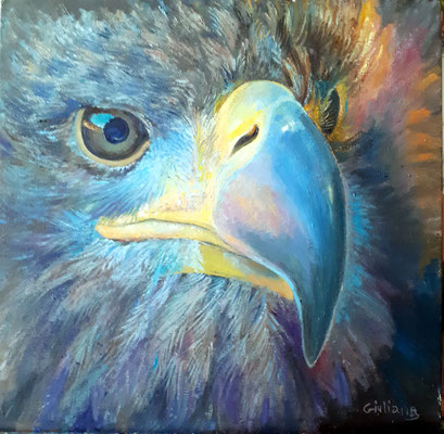 aquila-olio su cartoncino intelaiato-30x30