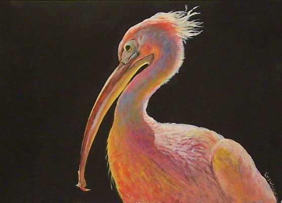 fenicottero-acrilico su cartoncino telato- 30x40