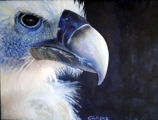 aquila-olio su cartoncino-30x40