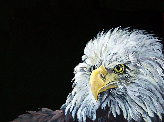 aquila americana- acrilico su cartoncino-25x30