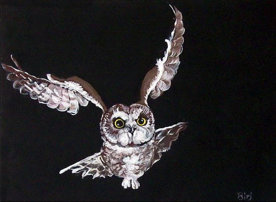 gufo in volo- acrilico su cartoncino- 25x30