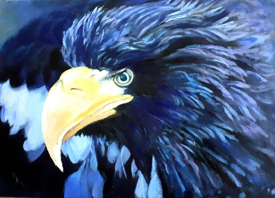 aquila-olio su cartoncino-30x40