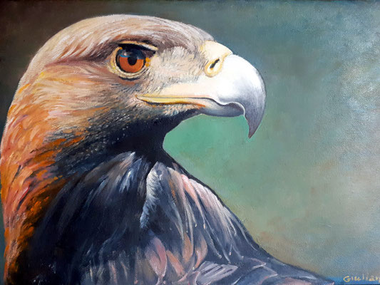 aquila-olio su cartoncino-30x40