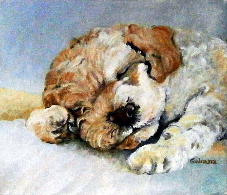 cucciolo di cane- olio su tela 20x30- proprietà privata