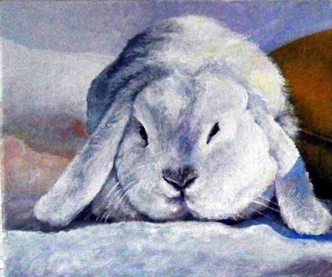 coniglio- olio su tela-20x30- proprietà privata