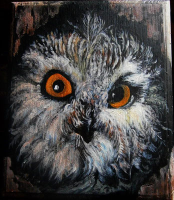 gufetto- olio su legno-20x20