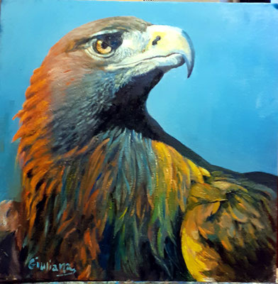 aquila-olio su cartoncino-30x40
