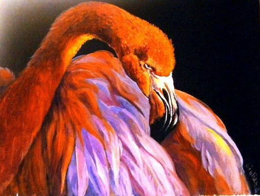 fenicottero-acrilico su cartoncinotelato- 30x40