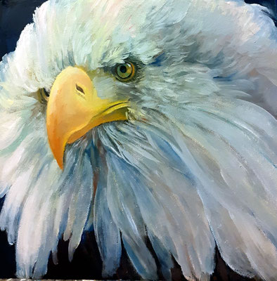 aquila-olio su cartoncino intelaiato-30x30-proprietà privata