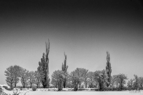 Plateau volcanique. © Vincent Jolfre