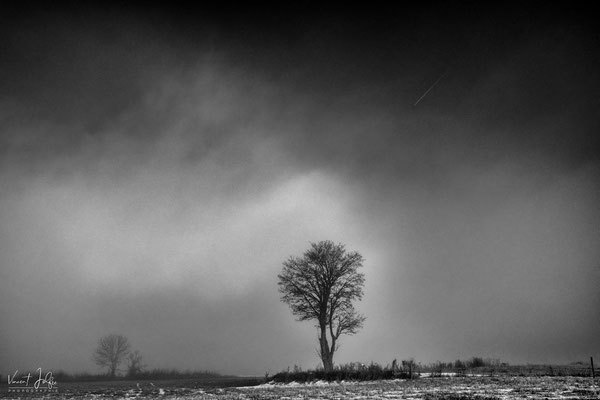 Plateau volcanique. © Vincent Jolfre