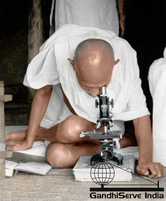 42 - Mahatma Gandhi at the microscope observing leprosy germs at Satyagraha Ashram, Sevagram, c. 1940.