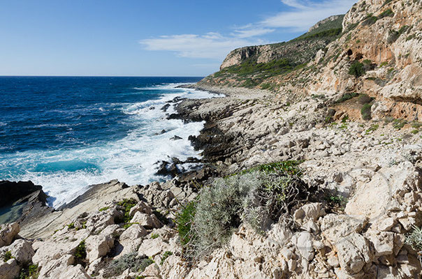 Levanzo