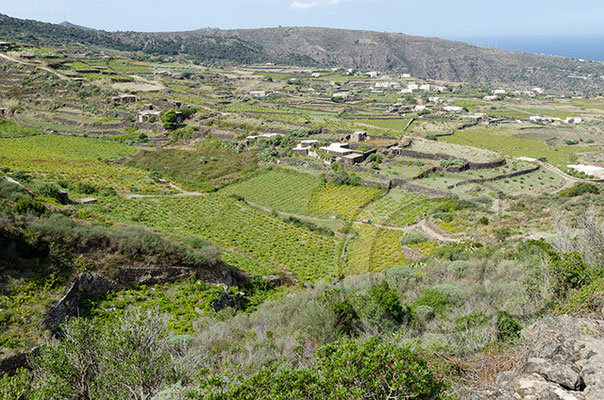 Pantelleria