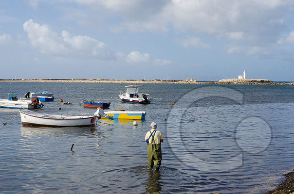 Trapani