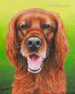 "Inka" Irish Setter, Acrylgemälde 50x40, Hundemalerei und Katzenmalerei "WuffMiau" Künstlerin Hanna Stemke 2019 (Fotovorlage privat)