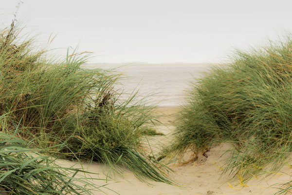 Jochen auf Baltrum