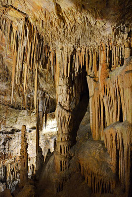 Cuevas Del Drac