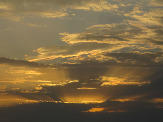 Poesie der Natur 8