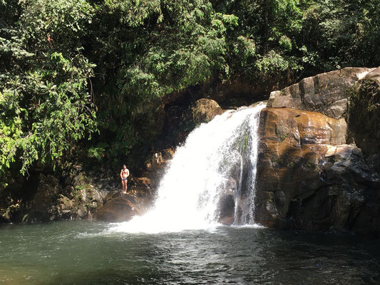 Cascade dans la forêt de Sinharaja