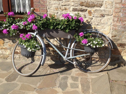 Vélo jardinière