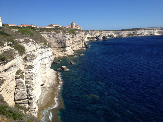 Bonifacio