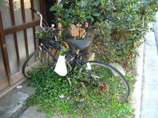 Japon 1