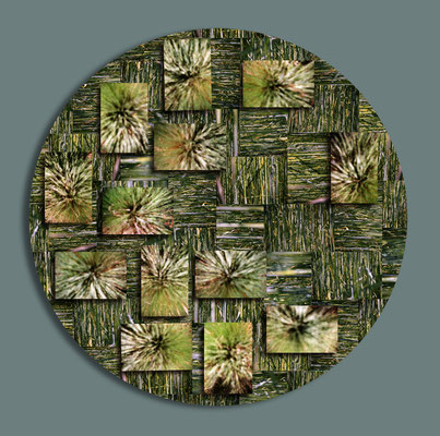 VHC I 80 Ø  cm. Serie VCH Fotorelief: Fotopapier auf holz 2010