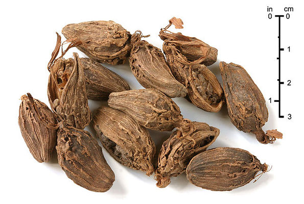 Von Brian Arthur - en:file:BlackCardamom.jpg, CC BY-SA 3.0, https://commons.wikimedia.org/w/index.php?curid=7280628