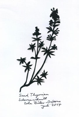 Strand Thymian