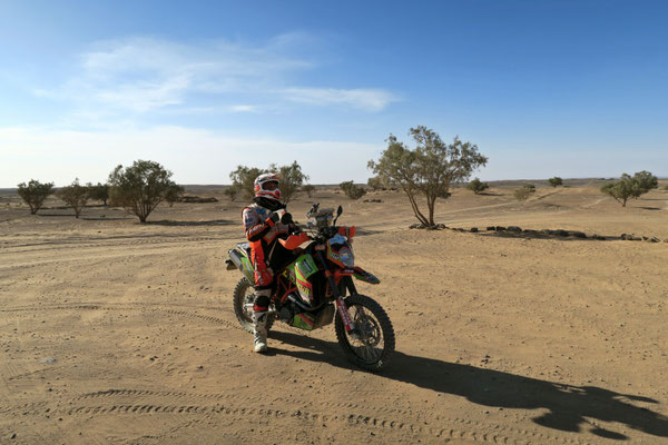 - Foto di Gianluca Guarato
