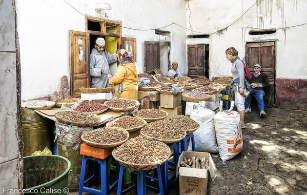 - Foto di Francesco Calise