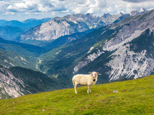 Innsbrucker Klettersteig: Atemberaubende Bilder & Eindrücke vom Kletterabenteuer in den Alpen