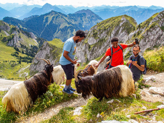 Integrationsprojekt "Wanderglück" - multikulturell wandern wir in den Allgäuer Alpen (von der Otto-Mayr-Hütte auf die Rote Flüh)