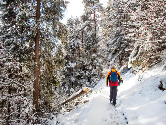 Winterwanderung von Garmisch-Partenkirchen zum Königsstand - den ganzen Tourentipp findet ihr bei mir auf dem Blog