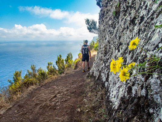 Madeira - die schönsten Wandertouren auf der Blumeninsel (hier: Küstensteig Porto da Cruz nach Machico durch die Boca do Risco)